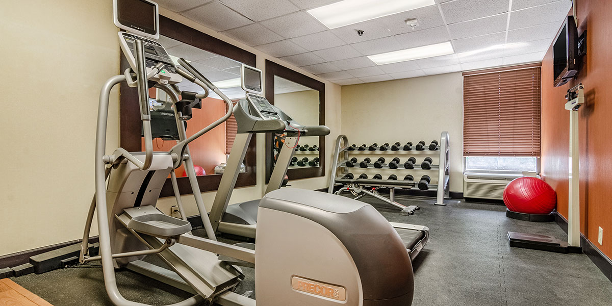 Exercise bikes and weights in a fitness center